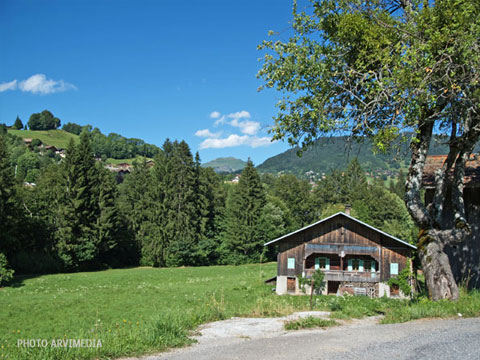 l'agriculture en Haute Savoie chalet d'alpage aux villards sur Thônes