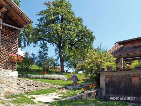 La vie en montagne dans les Alpes vacances en Haute Savoie